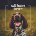 Earthbath Oatmeal & Aloe Fragrance Free Shampoo 16oz