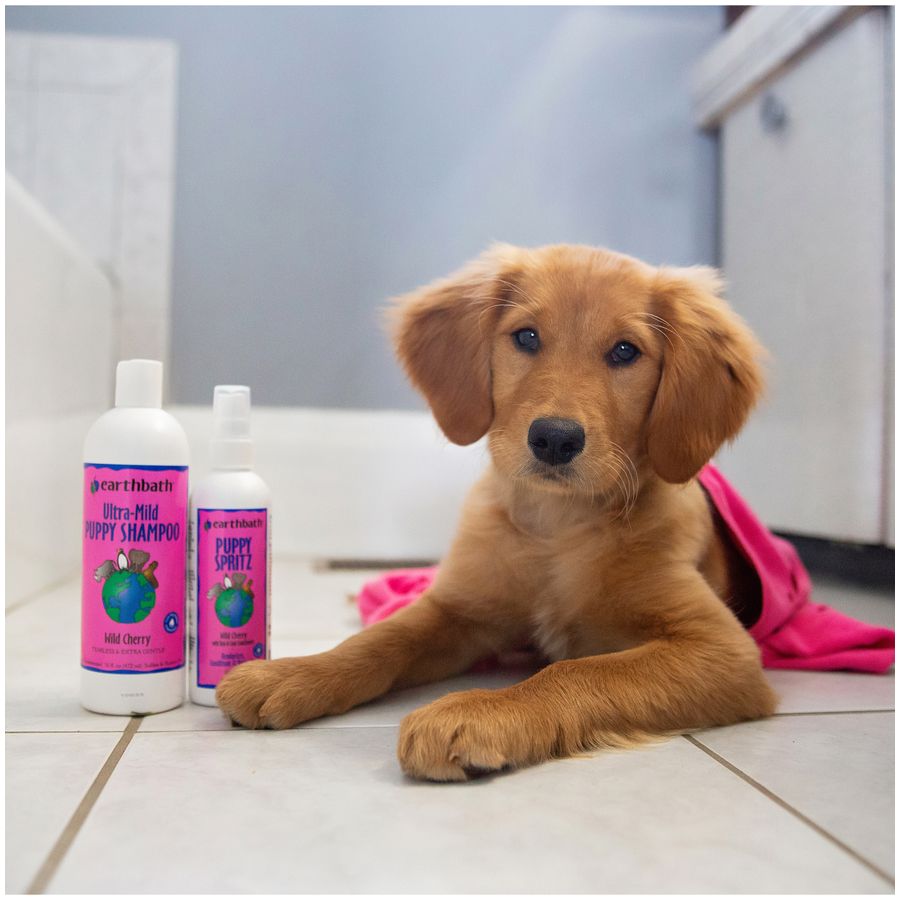 Earthbath Ultra Mild Puppy Shampoo 16oz bottle