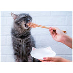 Kit Cat Fillet Fresh Grilled Chicken Cat Treat