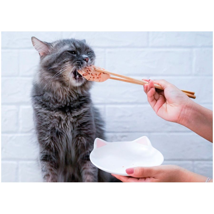 Kit Cat Fillet Fresh Grilled Chicken Cat Treat