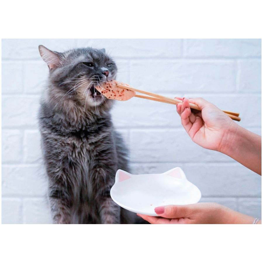 Kit Cat Fillet Fresh Tuna & Fiber Cat Treat