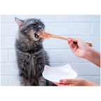 Kit Cat Fillet Fresh Tuna & Fiber Cat Treat