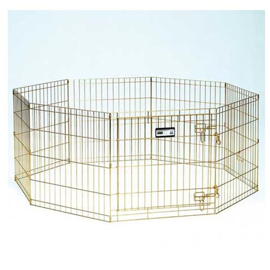 Midwest Exercise Pen for Dogs 48" - Gold