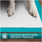Simple Solution Premium Training Pee Pads - 100-piece pack