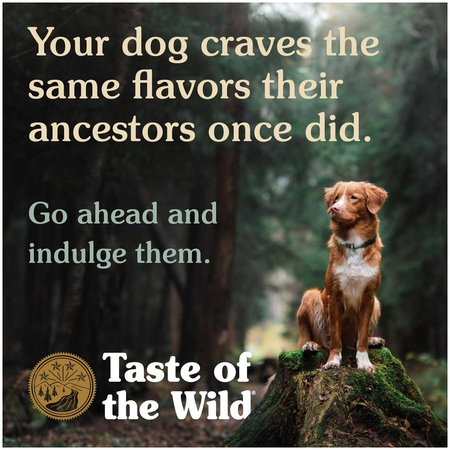 Taste of the Wild Canine Pacific Stream 12.2kg