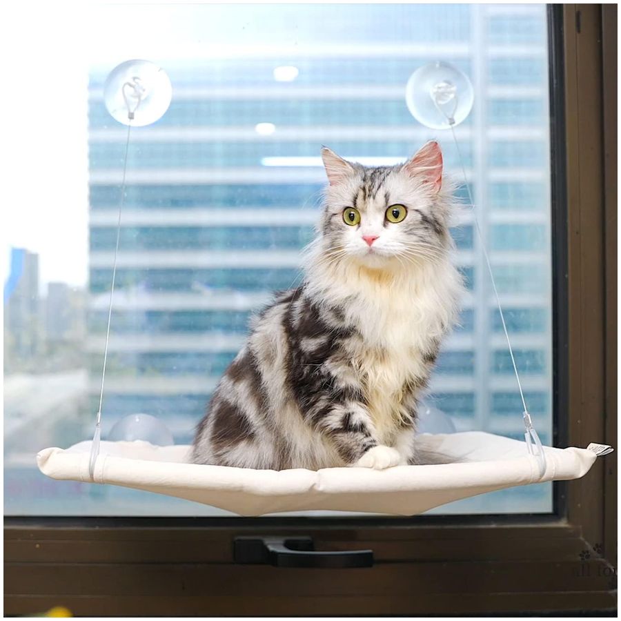 All for Paws Window Lounger Cat Bed