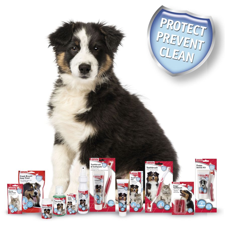 Beaphar Puppy Dental Kit 50g