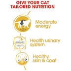 Royal Canin British Shorthair Adult Cat Wet Food 85g