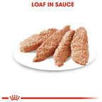 Royal Canin Coat Care Dog Wet Food 85g