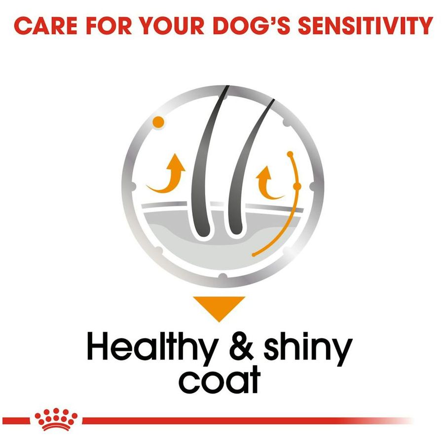 Royal Canin Coat Care Dog Wet Food 85g