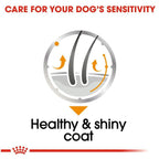 Royal Canin Coat Care Dog Wet Food 85g