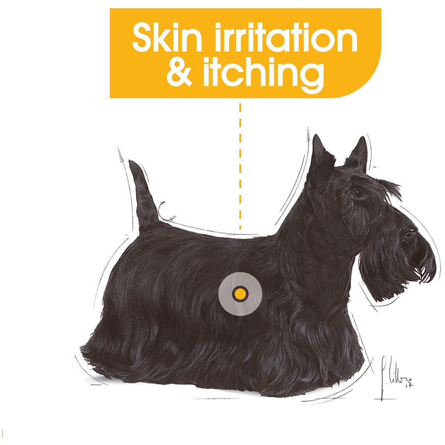 Royal Canin Dermacomfort Dog Wet Food 85g