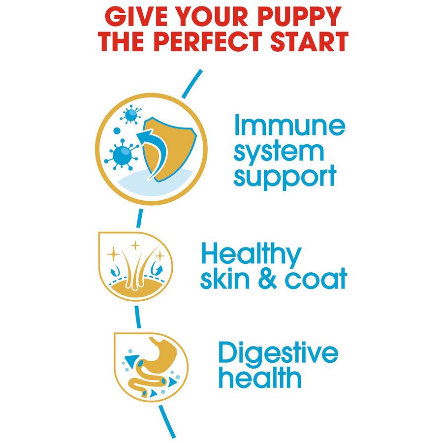 Royal Canin Golden Retriever Puppy Dry Food 12kg