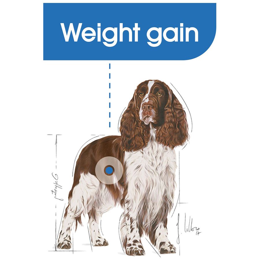Royal Canin Light Weight Care Medium Adult Dog Dry Food 12kg