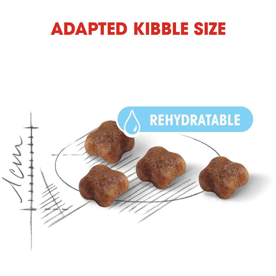 Royal Canin Mother & Babycat Dry Food 10kg