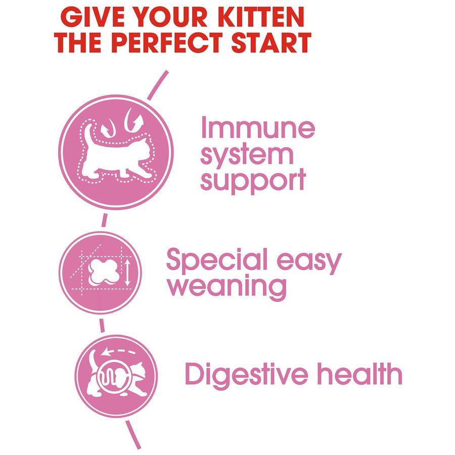 Royal Canin Mother & Babycat Dry Food 10kg