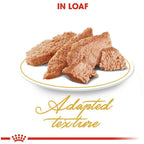 RC MD Feline Persian 85g per pouch