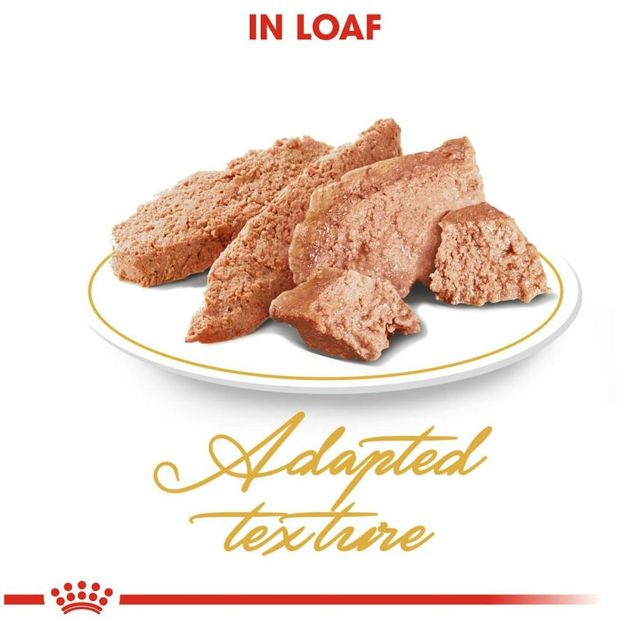 RC MD Feline Persian 85g per pouch