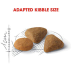 Royal Canin Savour Exigent Adult Cat Dry Food 10kg