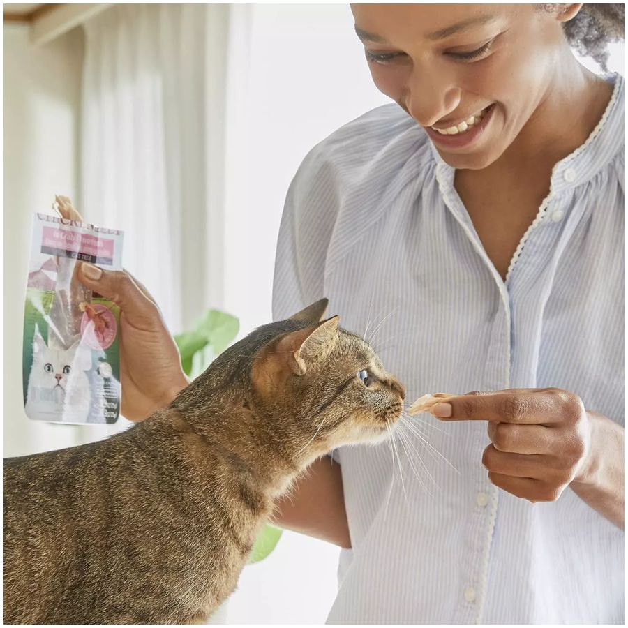 Inaba Grilled Tuna Fillet in Tuna Broth Cat Treat 15g pouch