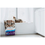 Intersand Classic Cat Litter Unscented 14kg