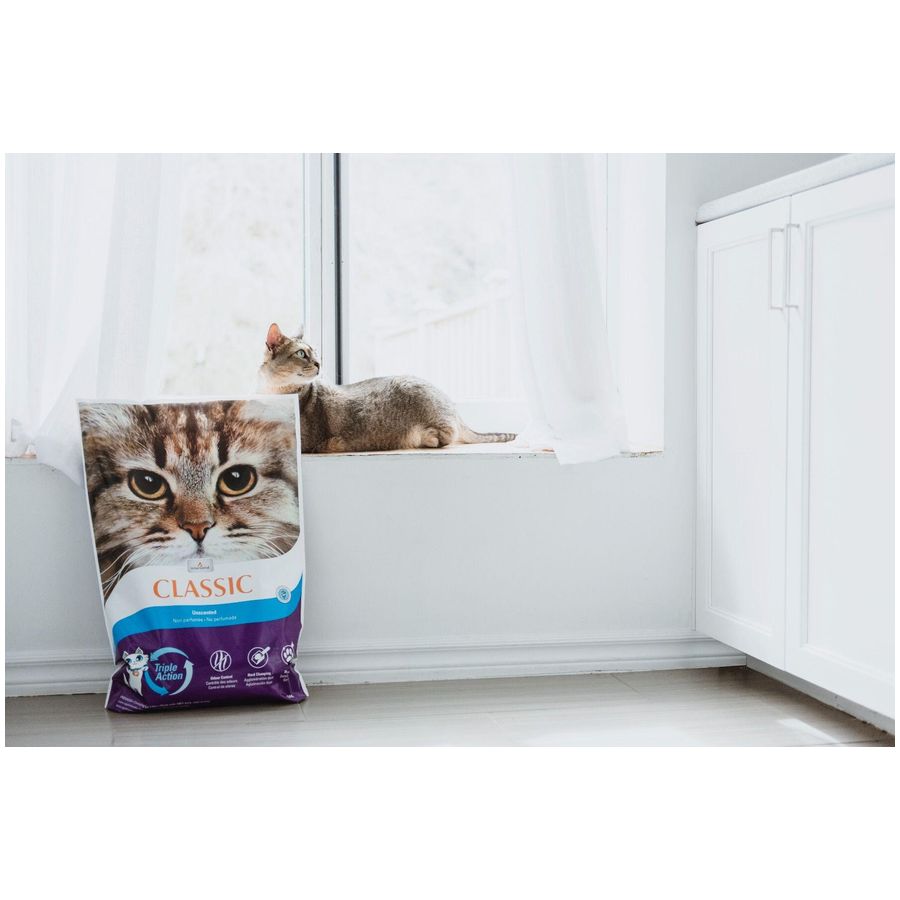 Intersand Classic Cat Litter Unscented 14kg