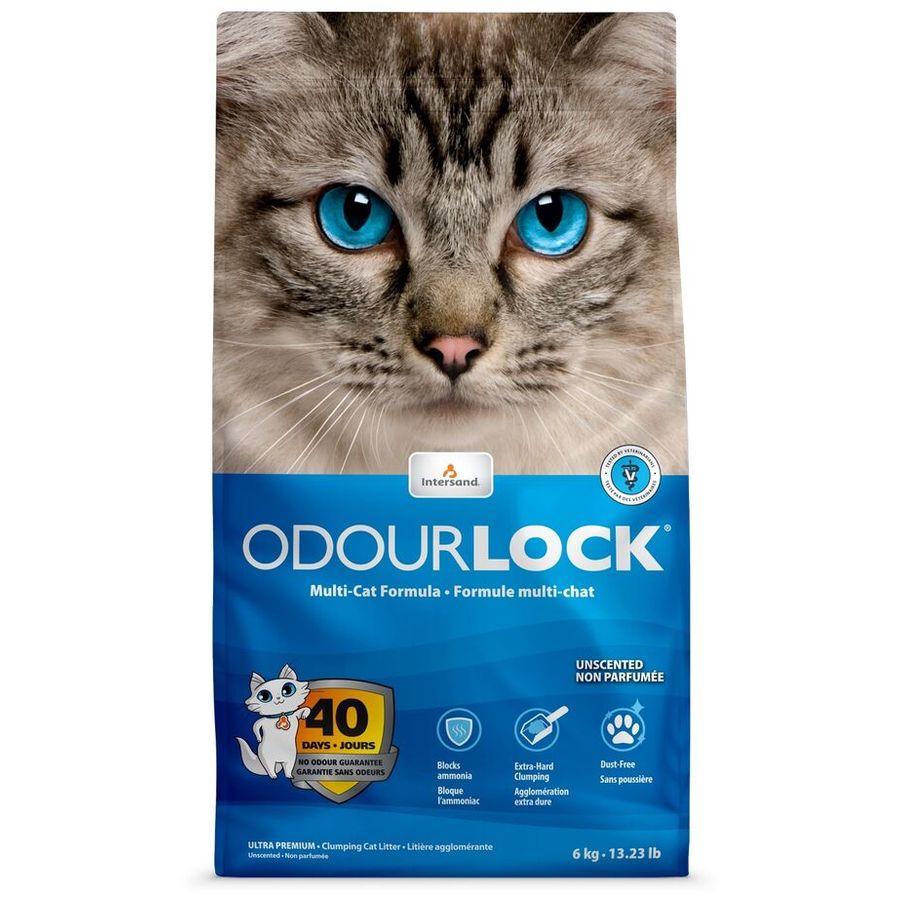 Intersand Odourlock Cat Litter Unscented 6kg bag