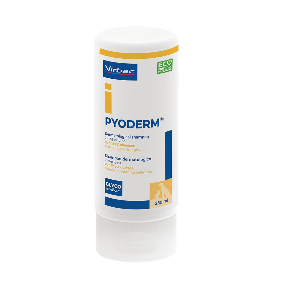 Pyoderm Antiseptic Shampoo per bottle