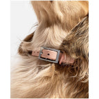 Wild One Collar - XS - Pink