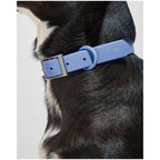 Wild One Collar - XS - Moonstone