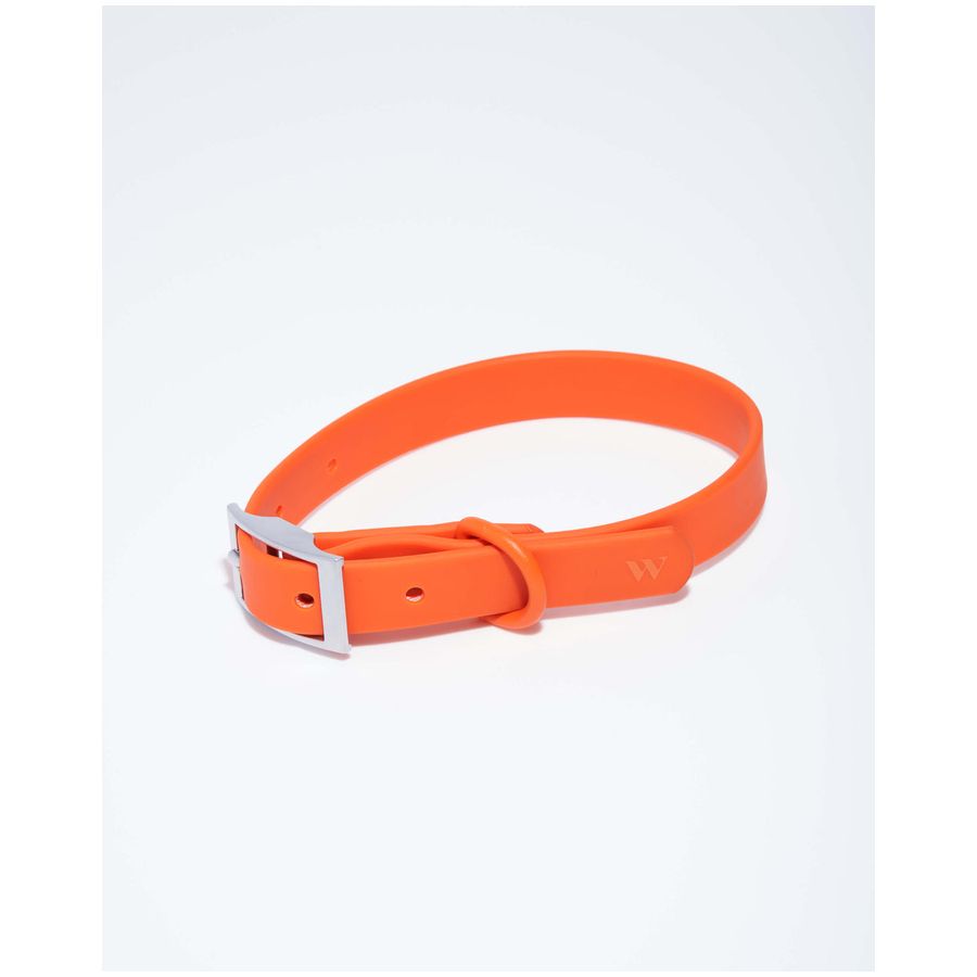 Wild One Collar - XS - Blaze
