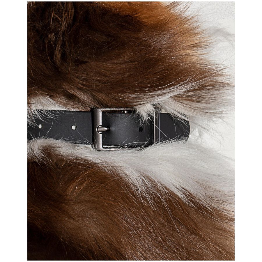 Wild One Collar - S - Black