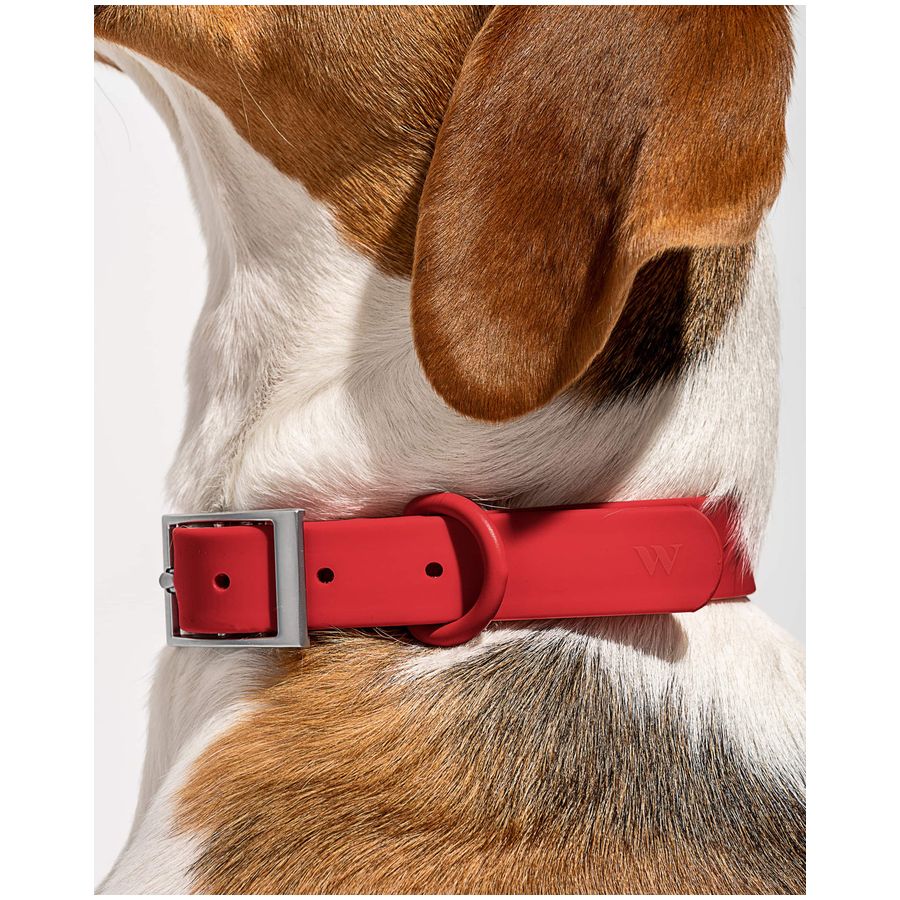 Wild One Collar - S - Strawberry