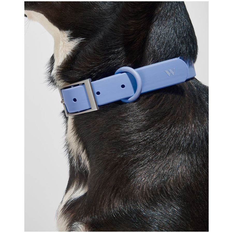 Wild One Collar - M - Moonstone