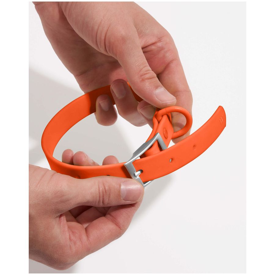 Wild One Collar - M - Blaze