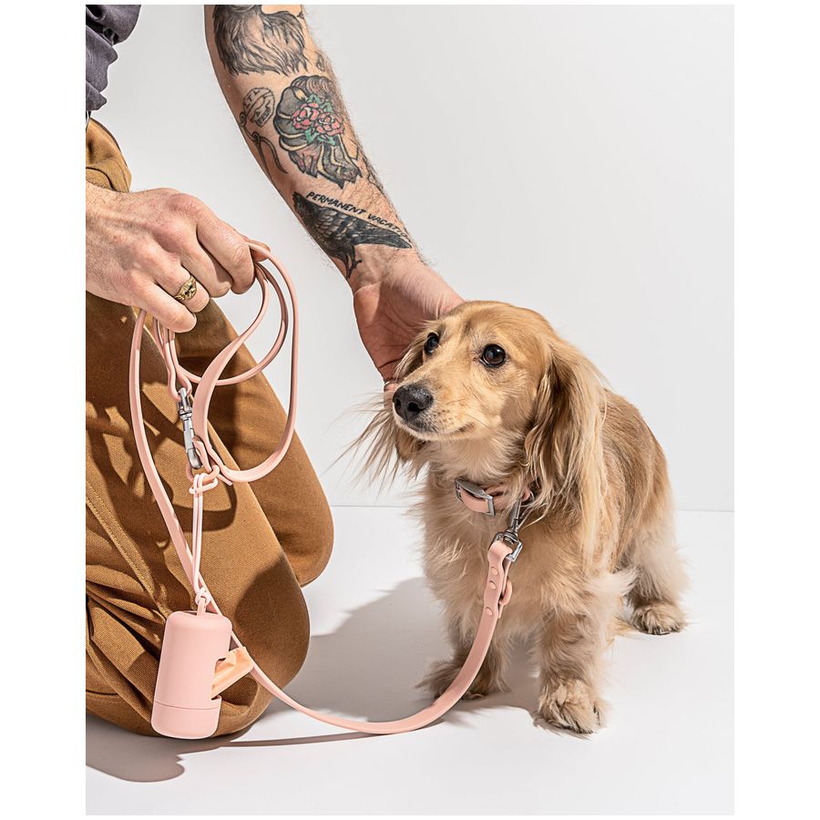 Wild One Collar - L - Pink