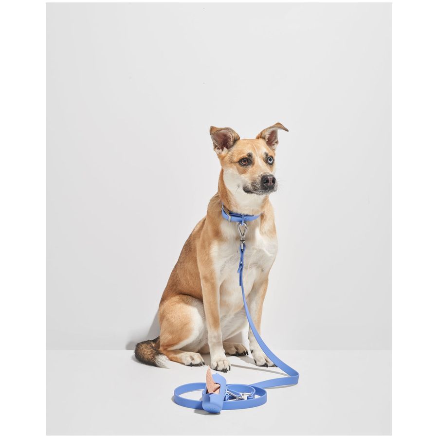 Wild One Collar - L - Moonstone