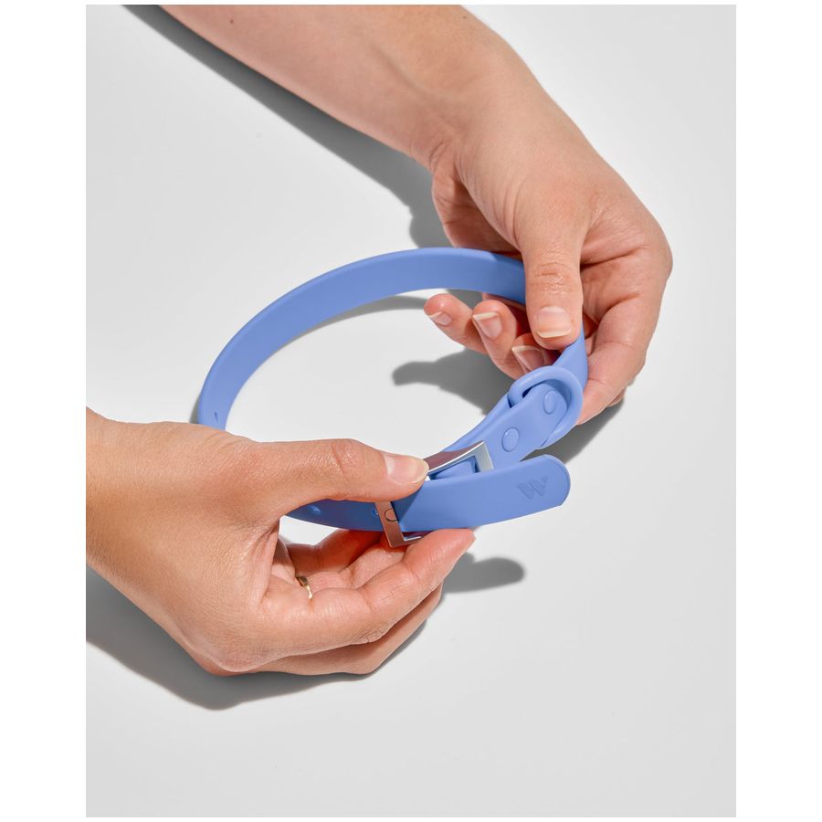 Wild One Collar - XL - Moonstone