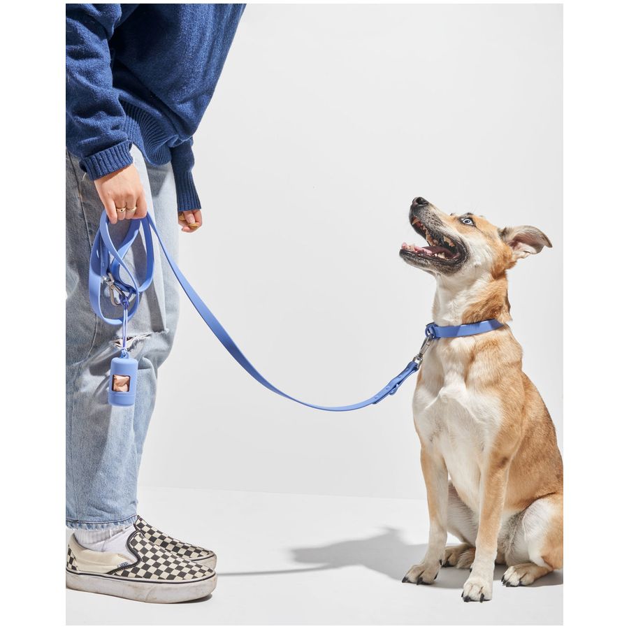 Wild One Collar - XL - Moonstone