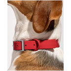 Wild One Collar - XL - Strawberry