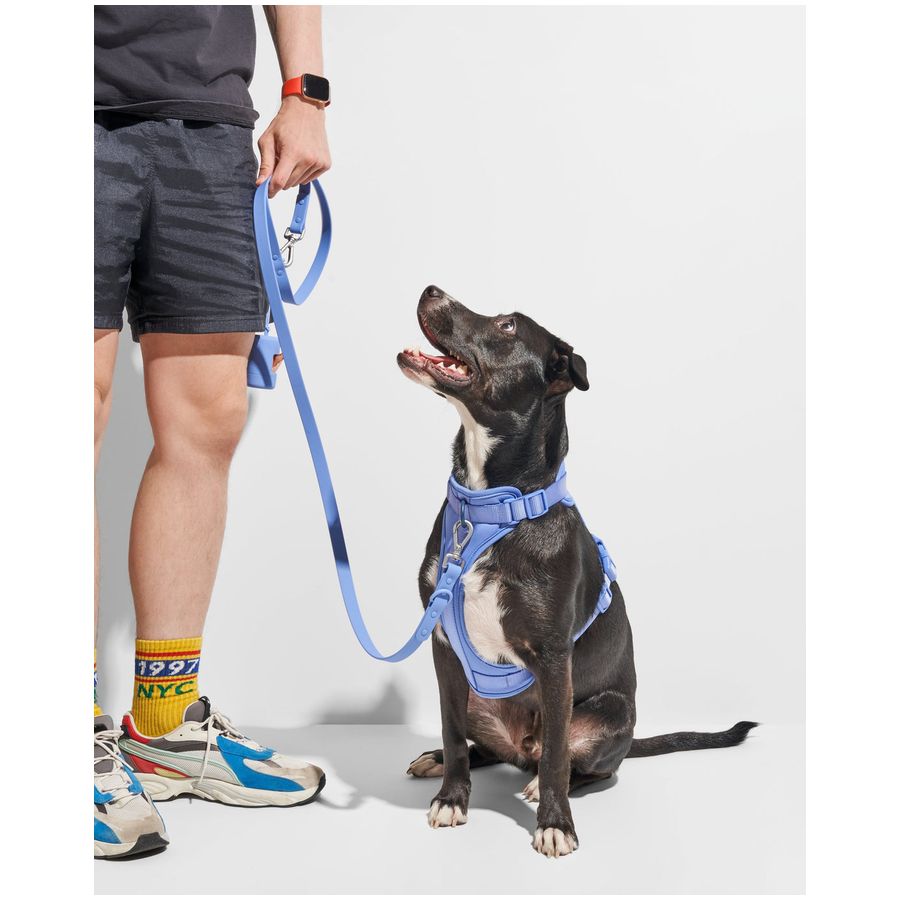 Wild One Leash - Moonstone