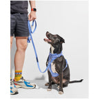 Wild One Leash - Moonstone