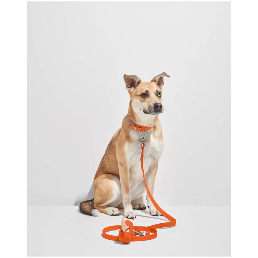 Wild One Leash - Blaze