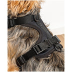 Wild One Harness - XS - Black