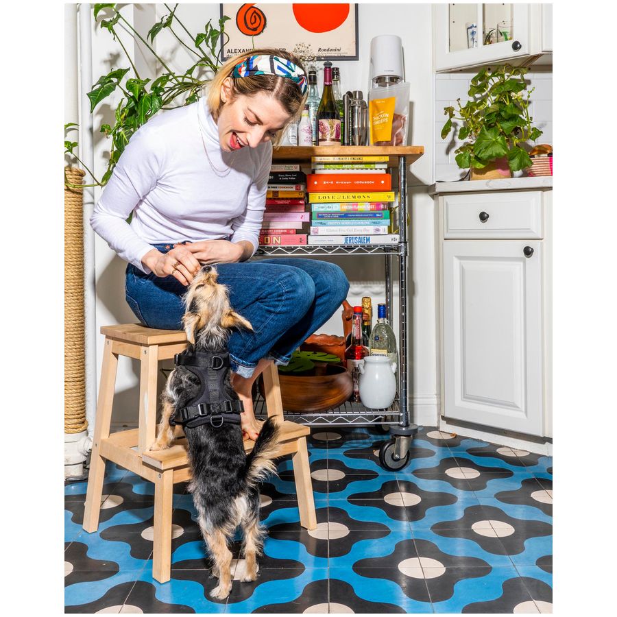 Wild One Harness - XS - Black