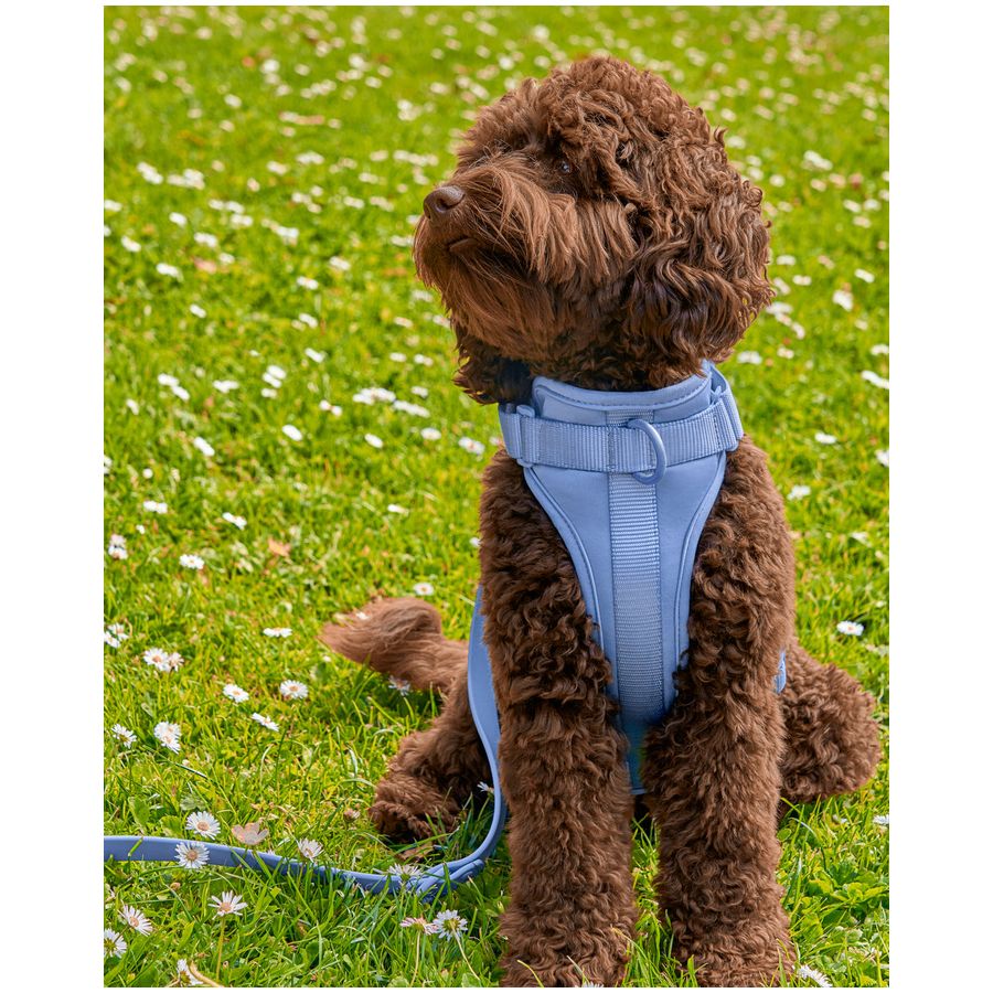 Wild One Harness - XS - Moonstone