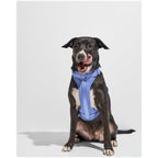 Wild One Harness - XS - Moonstone