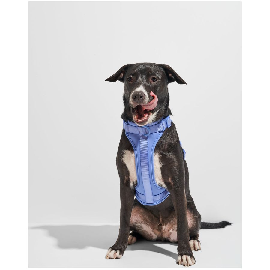 Wild One Harness - XS - Moonstone