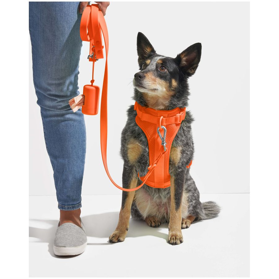 Wild One Harness - S - Blaze