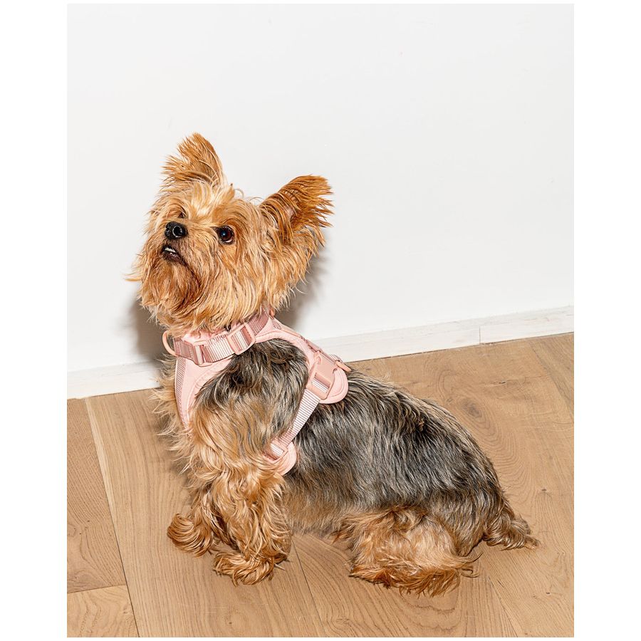 Wild One Harness - M - Pink